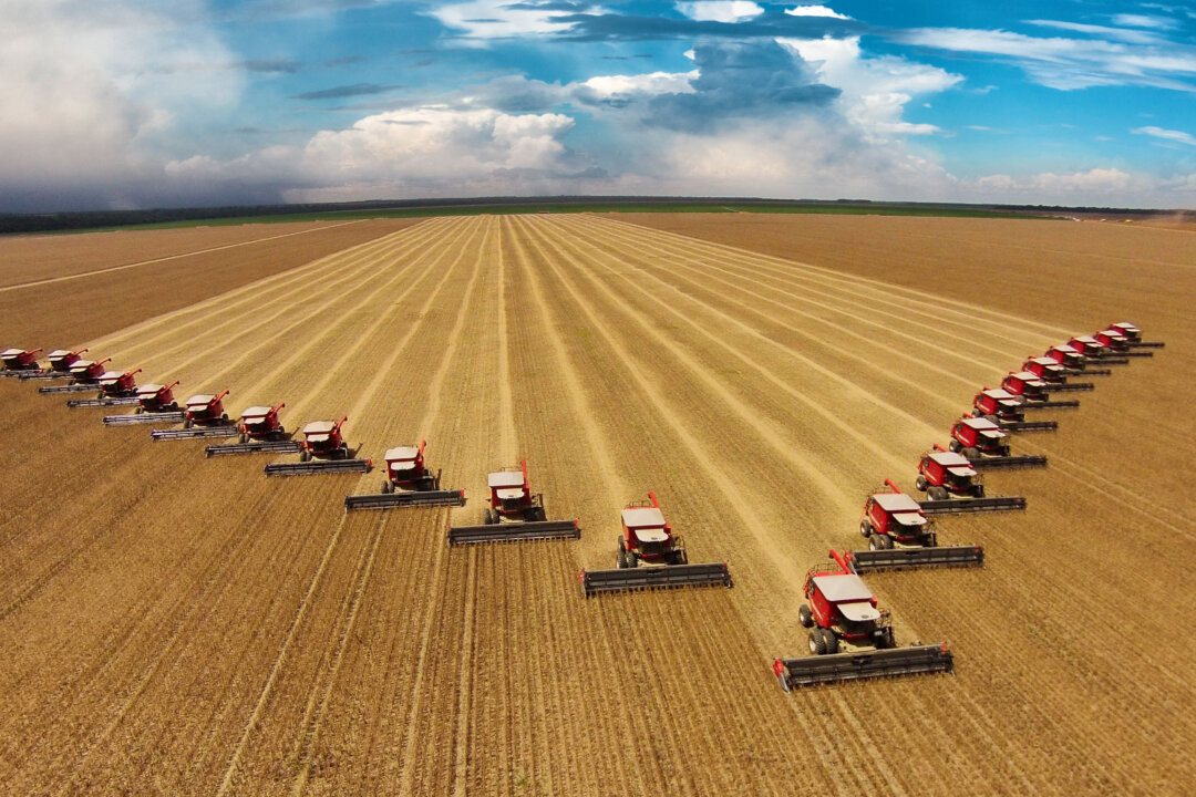A handful of corporations dominate our food system, and the consequence is a loss of diversity, resilience, and freedom. But there's another way. (Shutterstock)