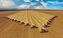 Countering the Threat of Global Food Homogenization