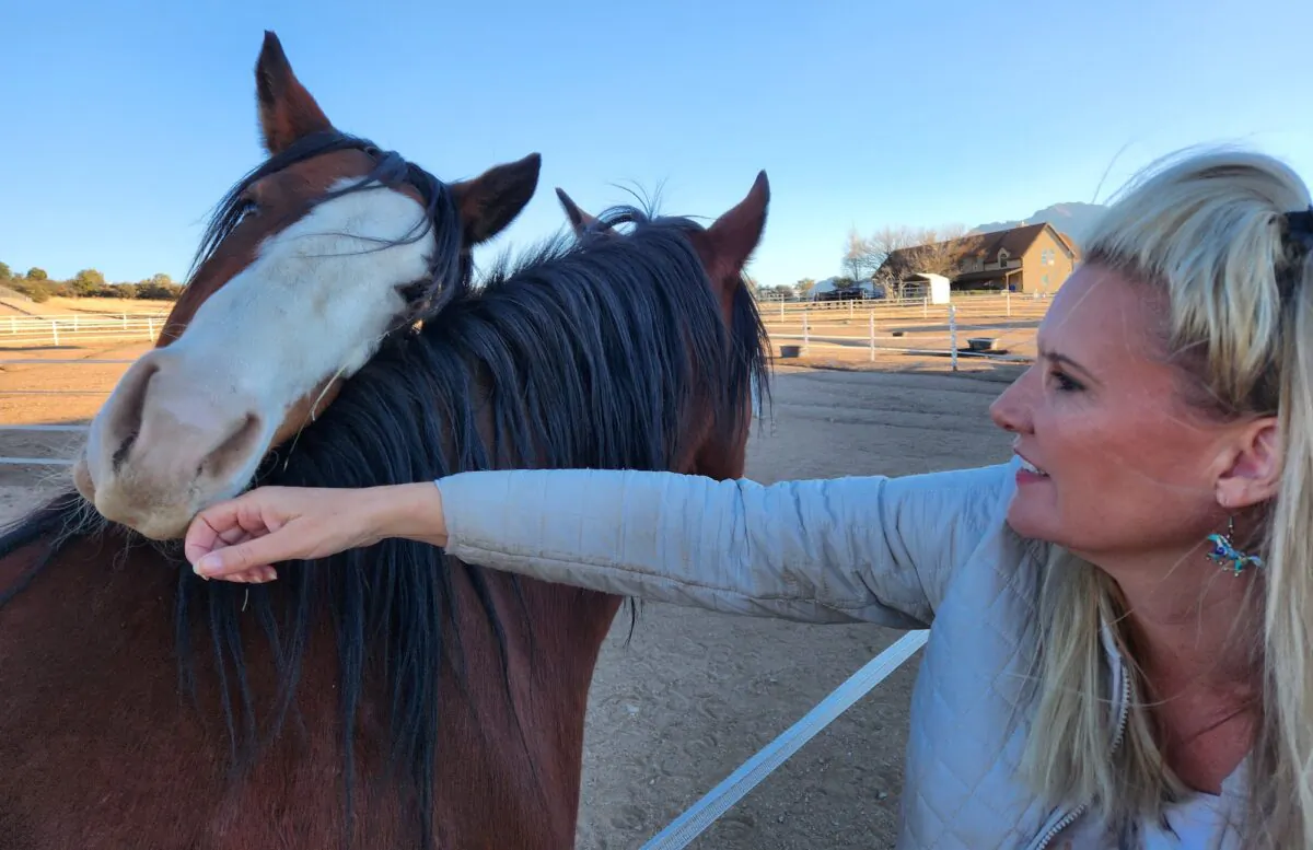 Simone Netherlands, president of the Salt River Wild Horse Management Group, receives affection from a pair of Alpine wild horse rescues on Nov. 30, 2022. (Allan Stein/The Epoch Times)