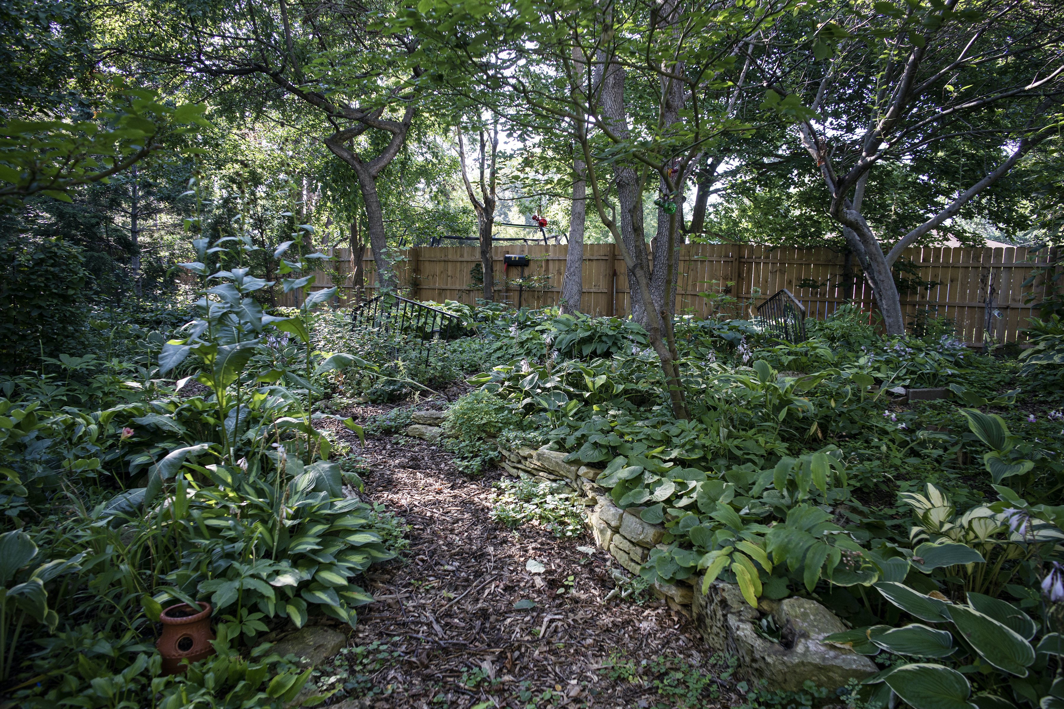 Chuck Levine's Minnesota garden