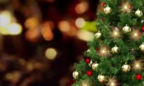 American Christmas, American New Year