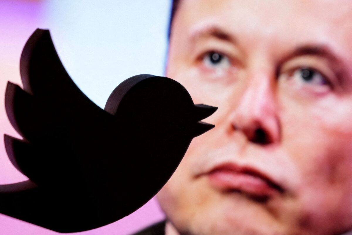 musk-and-bird