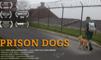 Prison Dogs | Documentary