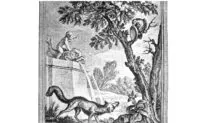 La Fontaine: The Virtue of Absentmindedness