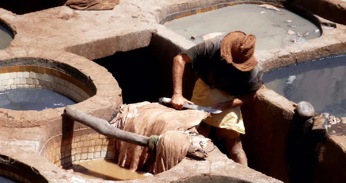 A worker tans hides at the Chouara Tannery in Fes, Morocco. (Courtesy of Phil Allen)