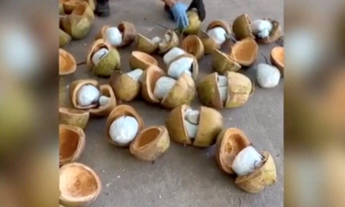 Coconuts filled with fentanyl seized by Mexican authorities in Puerto Libertad, Mexico, on Dec. 1, 2022, in a still from video. (Prosecutor General's Office of Mexico via AP/Screenshot via The Epoch Times)