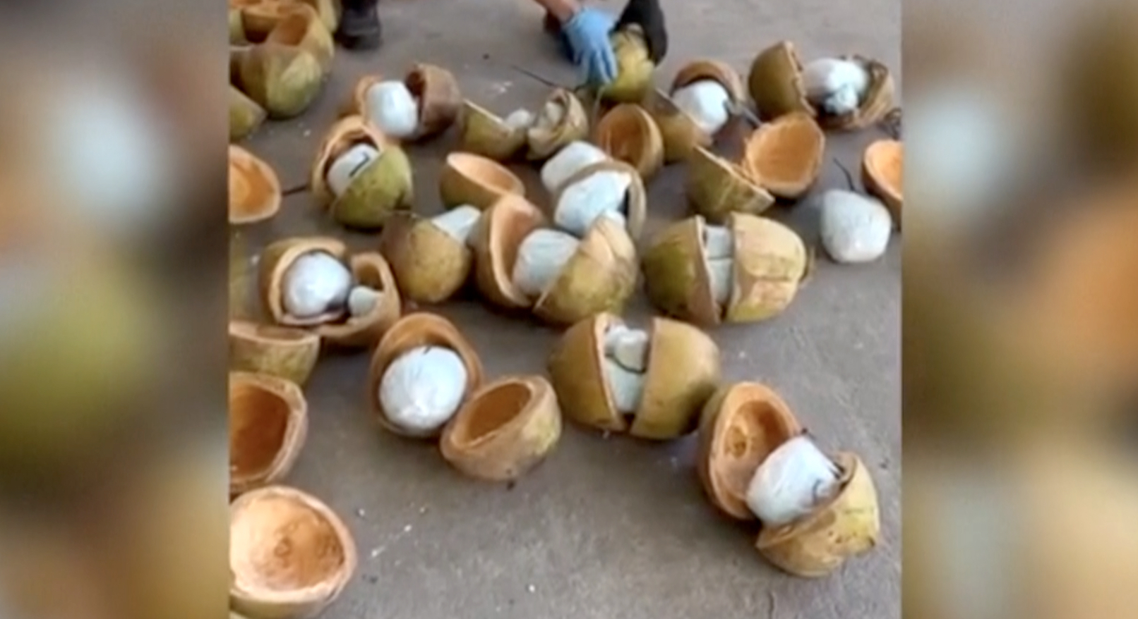 Mexico coconut fentanyl
