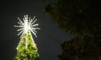 Fun Things to Do in Orange County This Weekend