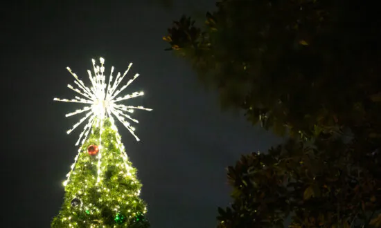Fun Things to Do in Orange County This Weekend