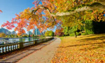 Autumn Preventive Healthcare Focuses on Nourishing the Lungs