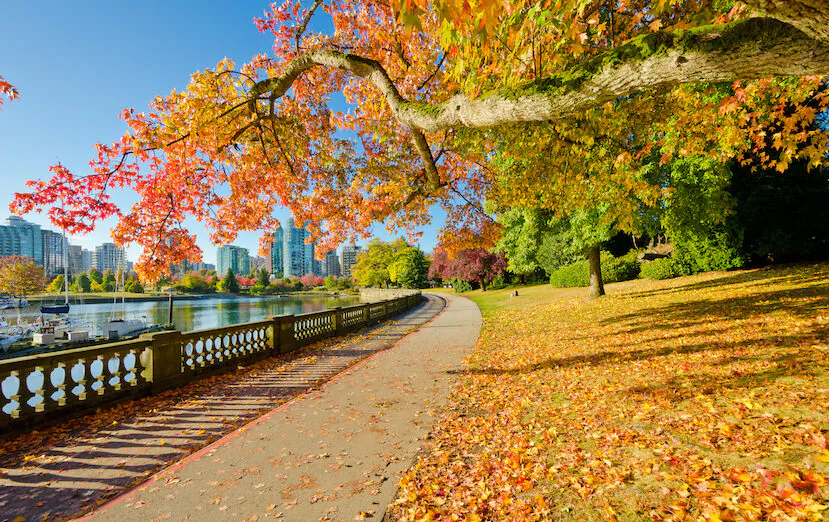 TCM practitioners believe that one should focus on nourishing the lungs in the autumn. By maintaining energy levels, and changing diet and habits, health preservation can be reached. (romakoma/Shutterstock)
