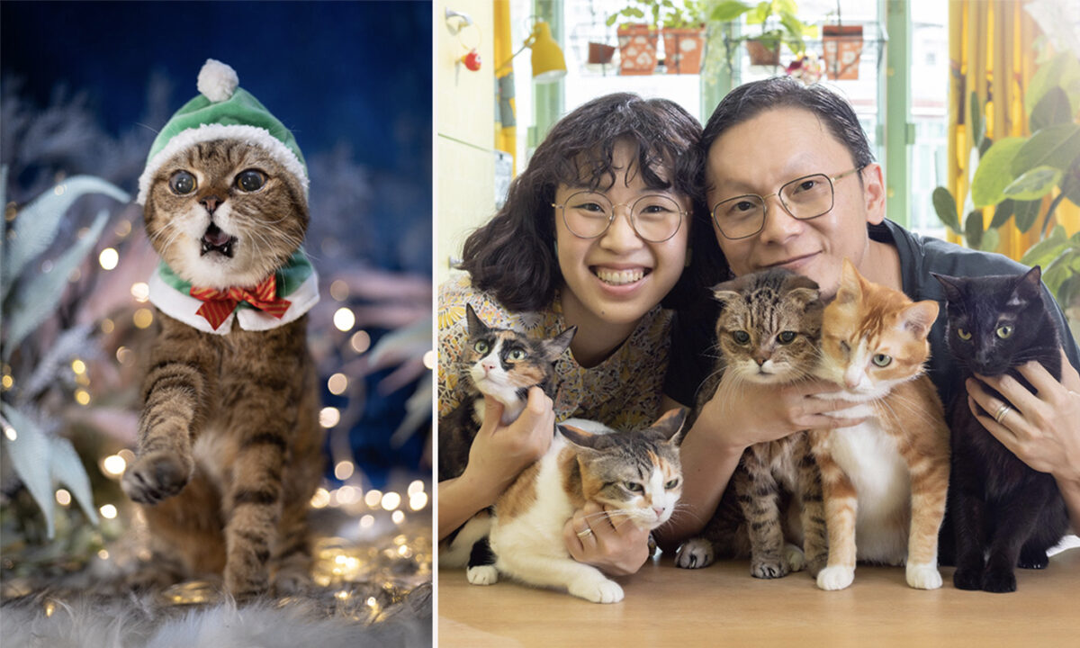 Wilson Ng (Right) was a senior photojournalist at the now closed Apple Daily. In 2021 he became a "cat-ographer," photographing domestic cats and their owners in their homes. (Courtesy of Wilson Ng)
