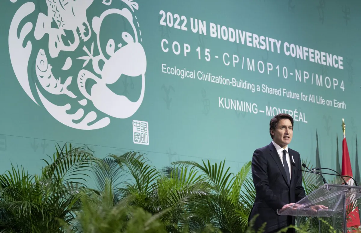 Prime Minister Justin Trudeau delivers remarks during the opening ceremony of the COP15 UN conference on biodiversity in Montreal on December 6, 2022. (Paul Chiasson/The Canadian Press)