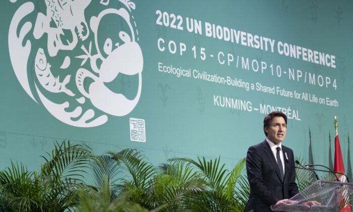 总理贾斯汀·特鲁多于 2022 年 12 月 6 日在蒙特利尔举行的 COP15 联合国生物多样性会议开幕式上发表讲话。（Paul Chiasson/加拿大新闻社）