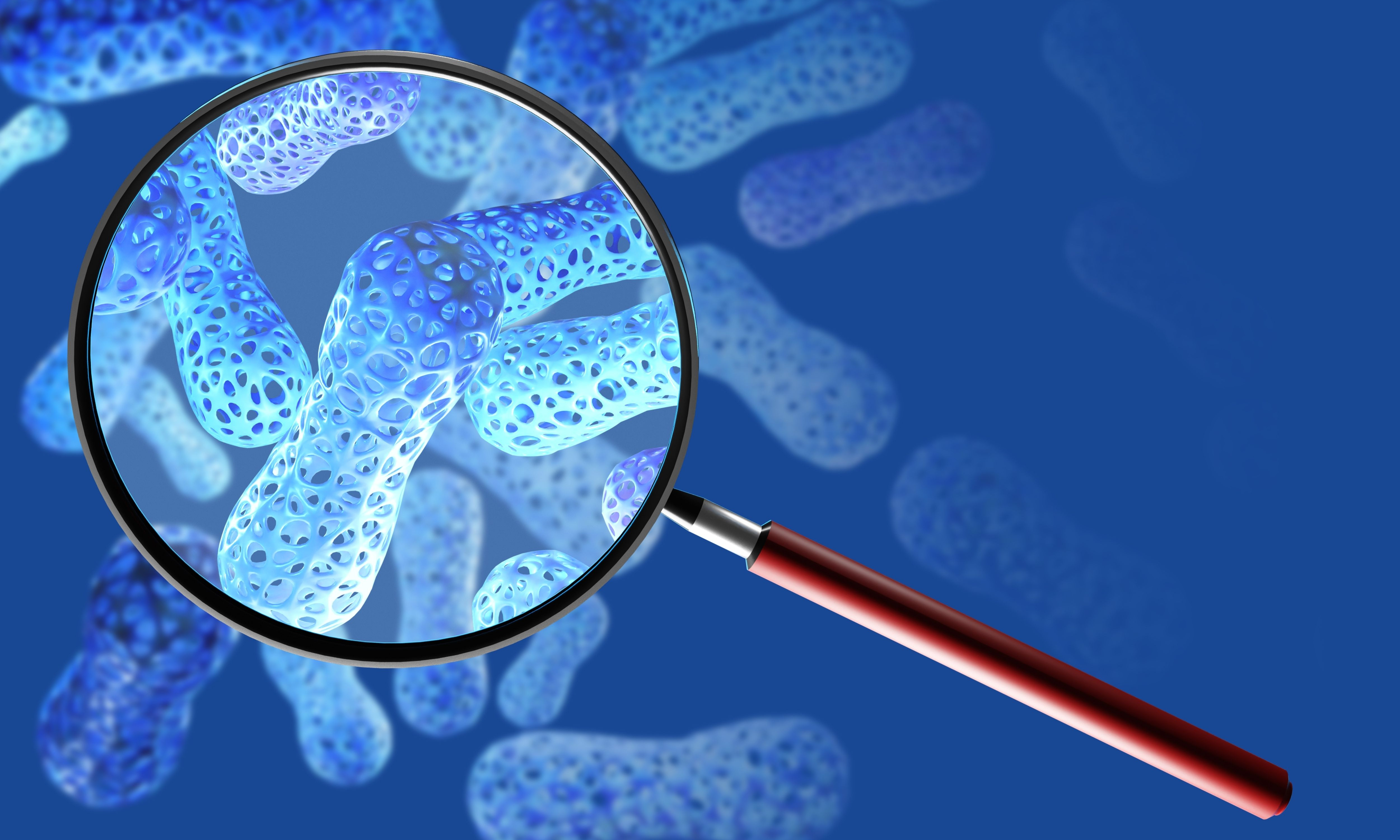You've Damaged Your Gut Microbiome–Now What? - Vimarsana News