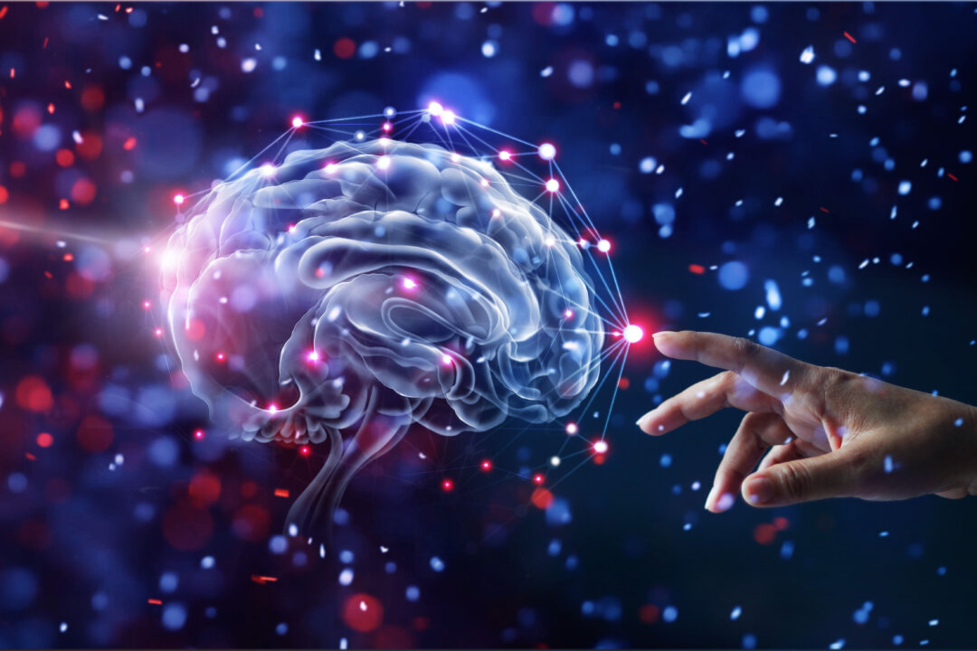 Neural regenerative capacity is often underestimated. (PopTika/Shutterstock)
