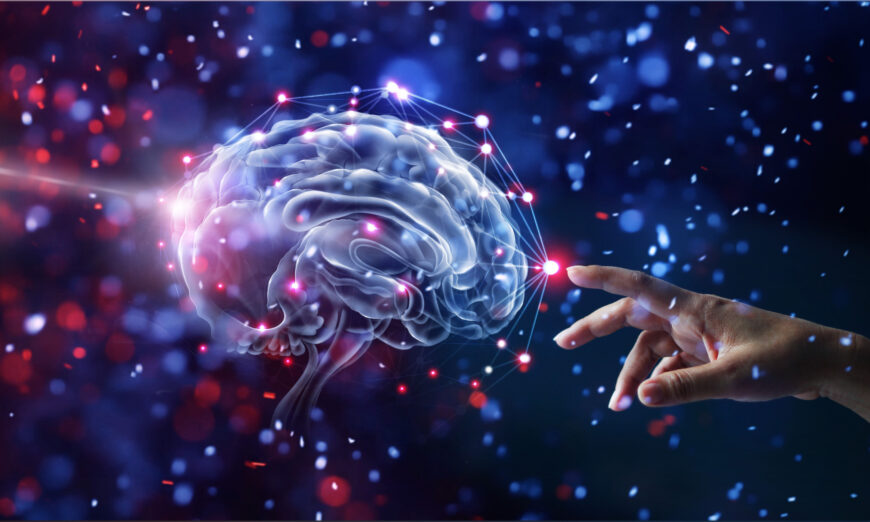 Neural regenerative capacity is often underestimated. (PopTika/Shutterstock)