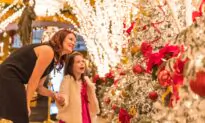 New Orleans Offers High-Value Holiday Delights