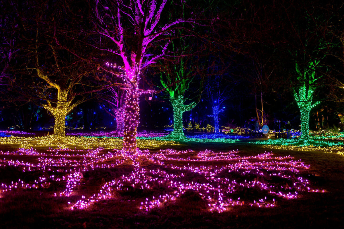 Photos: These Are Some of the Most Mesmerizing Holiday Light Displays ...