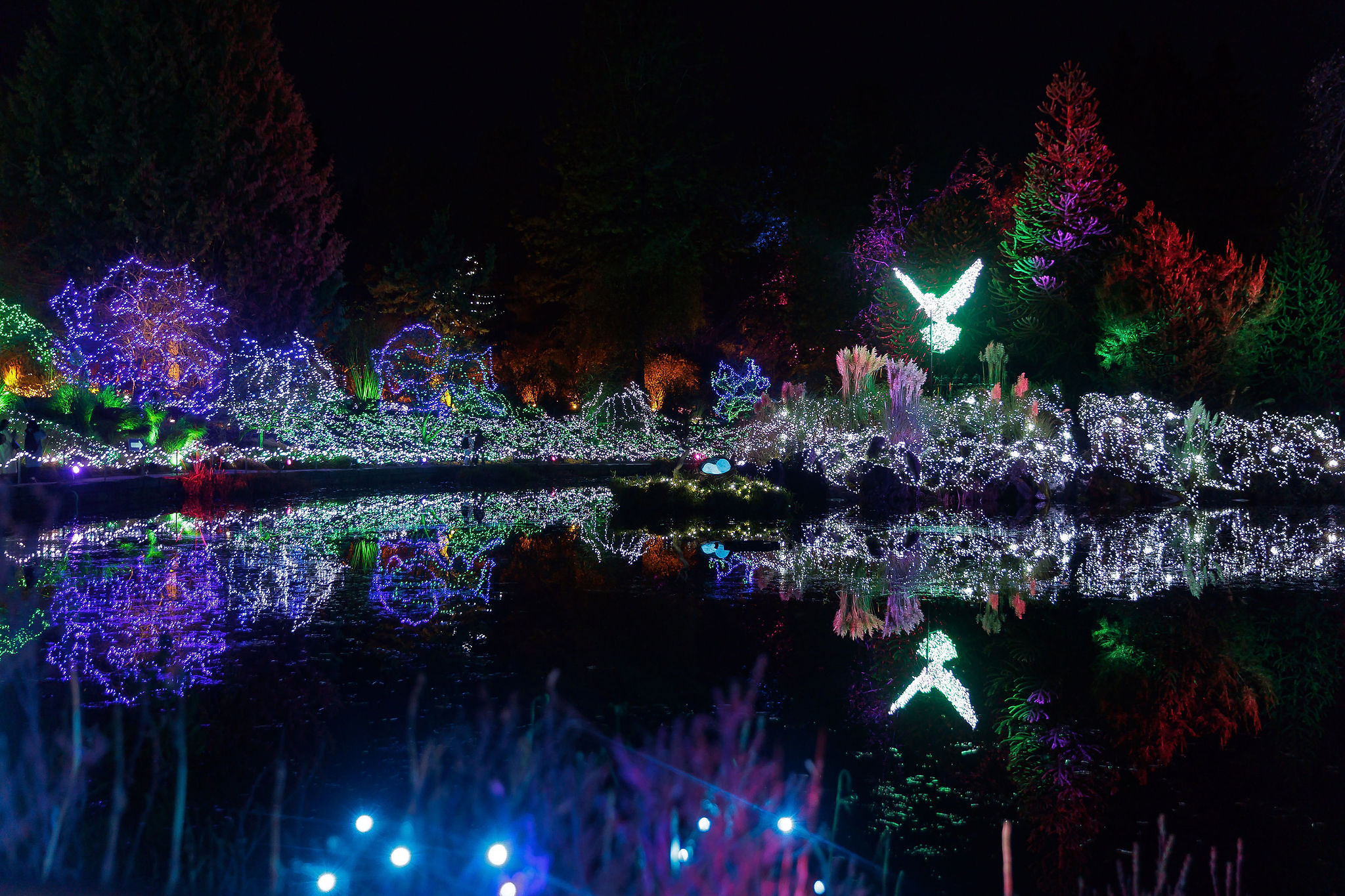 Photos: These Are Some of the Most Mesmerizing Holiday Light Displays 