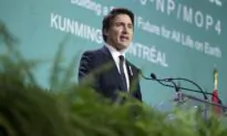 Canada Commits $800 Million to Support Indigenous-Led Conservation Projects
