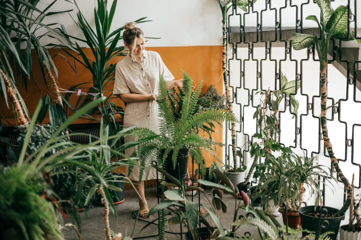 Jeff Rugg offers more gift ideas for gardeners in your life. (tativophotos/Shutterstock)