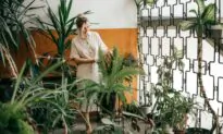 Gardener Gift Ideas