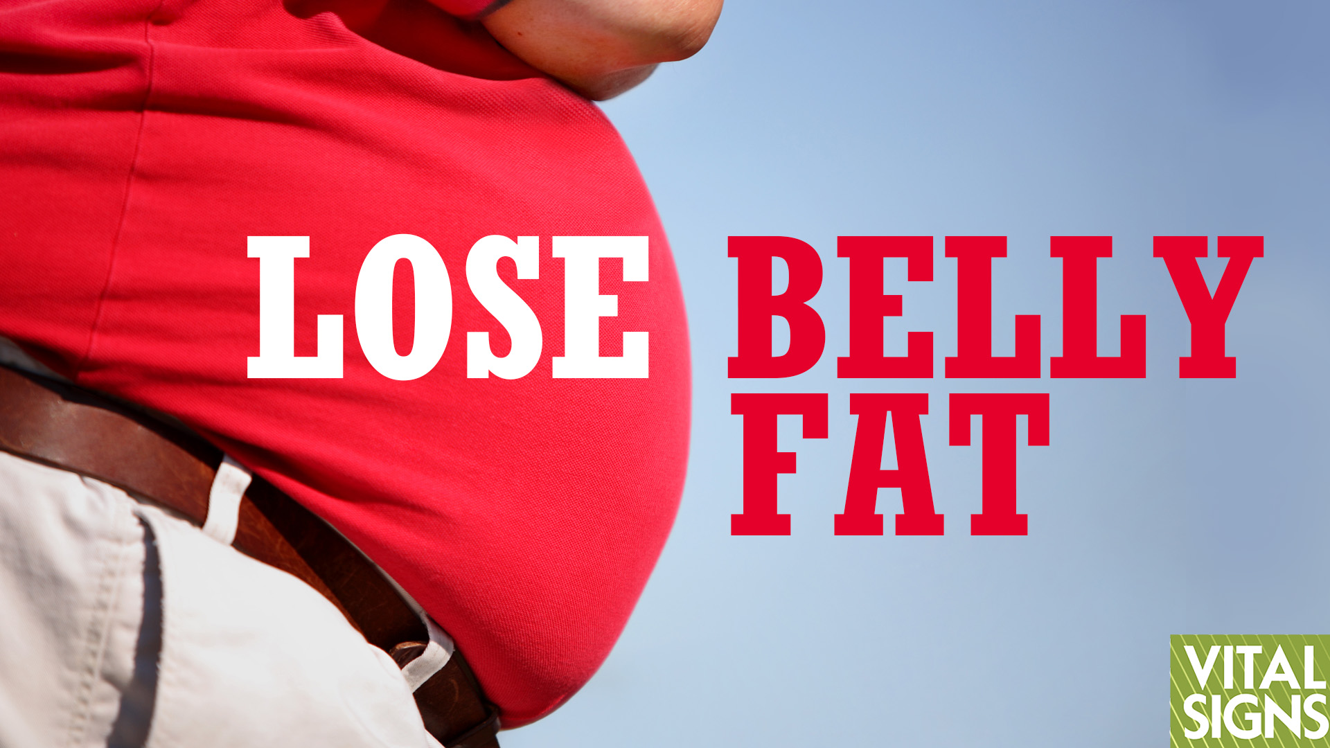 How to Easily Eat Enough Soluble Fiber and Lose Belly Fat? - Vimarsana News