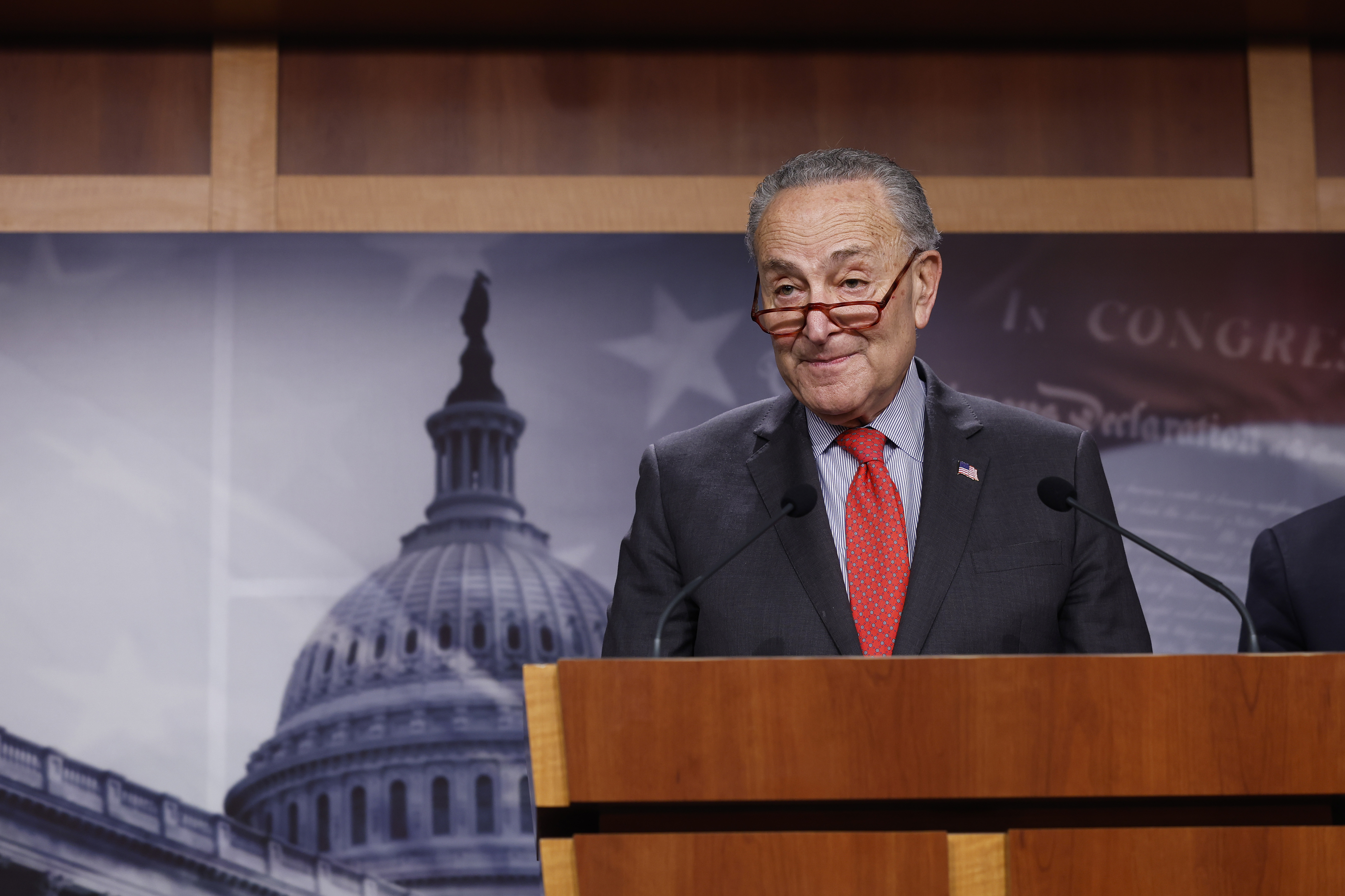 Schumer Supports Lawmakers Investigating Introduction of a Nationwide TikTok Ban - Vimarsana News
