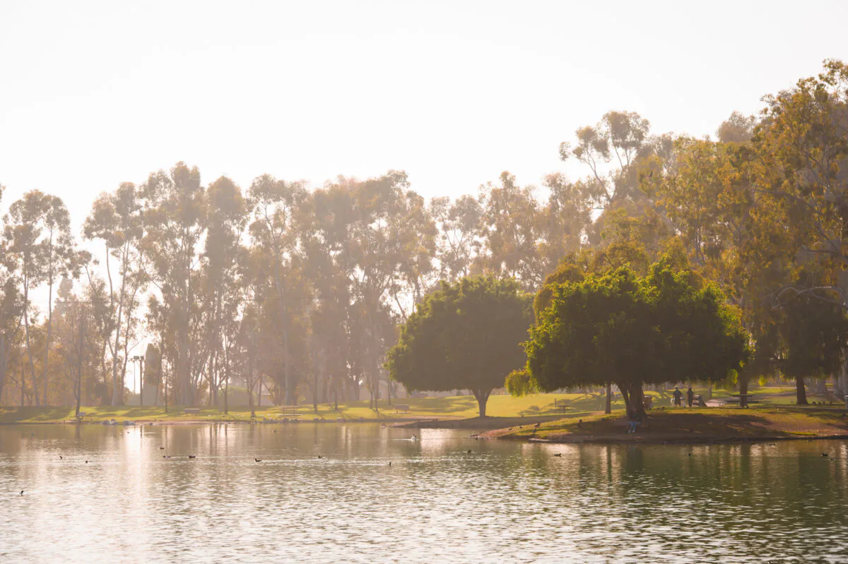 Tri-City Regional Park. (Courtesy of the City of Placentia)