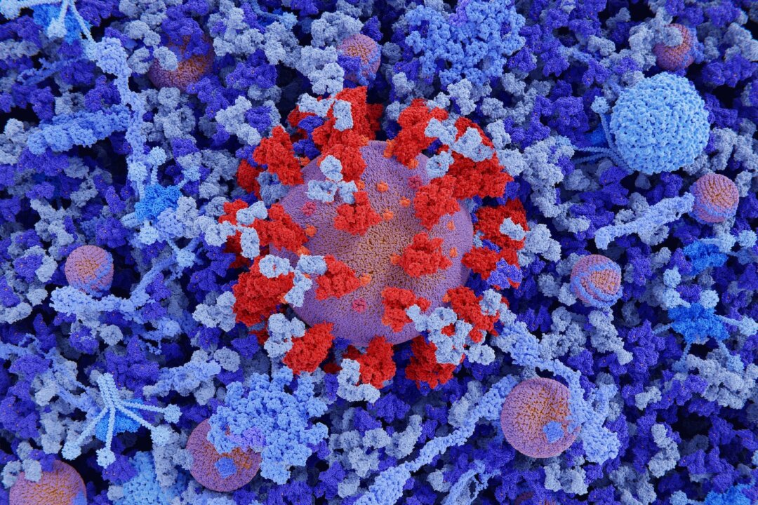 The SARS-CoV-2 virus in blood plasma. Several IgG antibodies (light blue) are bound to coronavirus spike proteins (red). 3d illustration