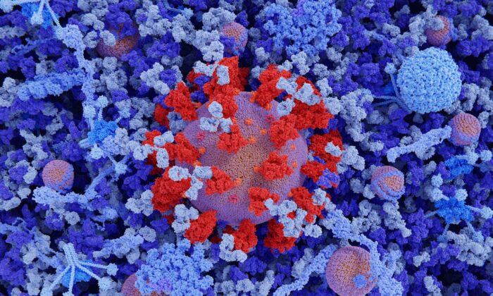 The Damage of Circulating Spike Proteins