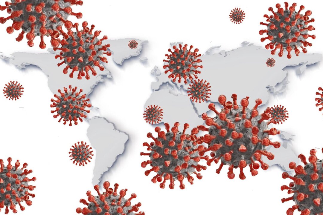 SARS-CoV-2 Virus (COVID-19) Variants