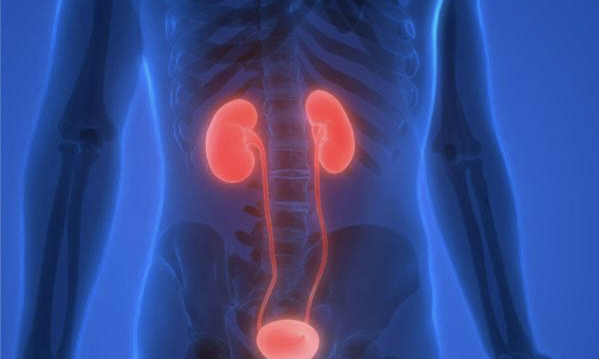 Winter Tips For Nourishing Kidneys And How To Identify Dysfunction