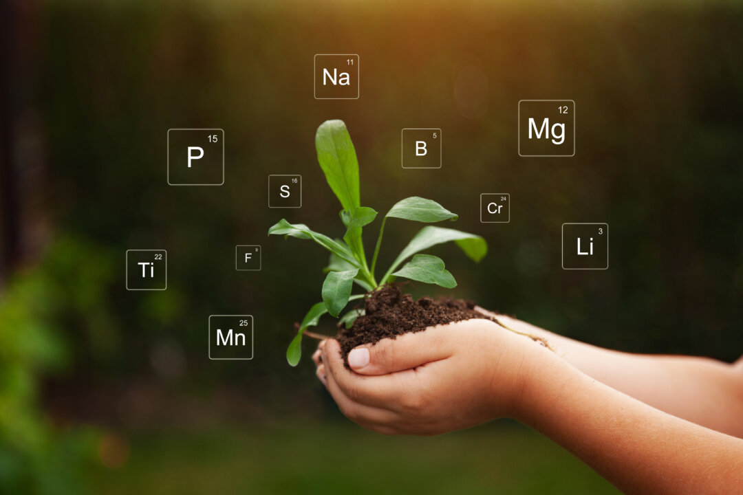 One of the best ways to help prevent soil depletion is to practice sustainable, organic farming. (Iryna Dincer/Shutterstock)