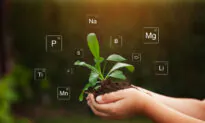 Soil Depletion and What It Means to You