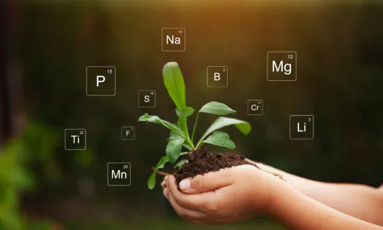 Soil Depletion and What It Means to You