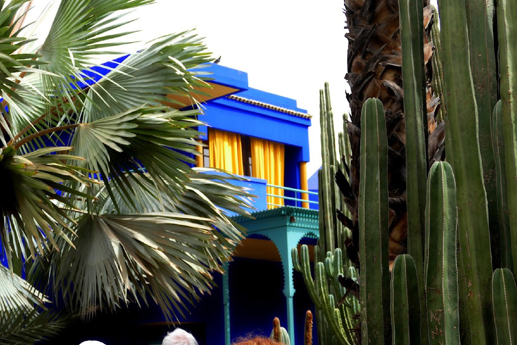 French fashion designer Yves Saint Laurent was inspired by the Majorelle Gardens in Marrakech, Morocco, and made his home there.