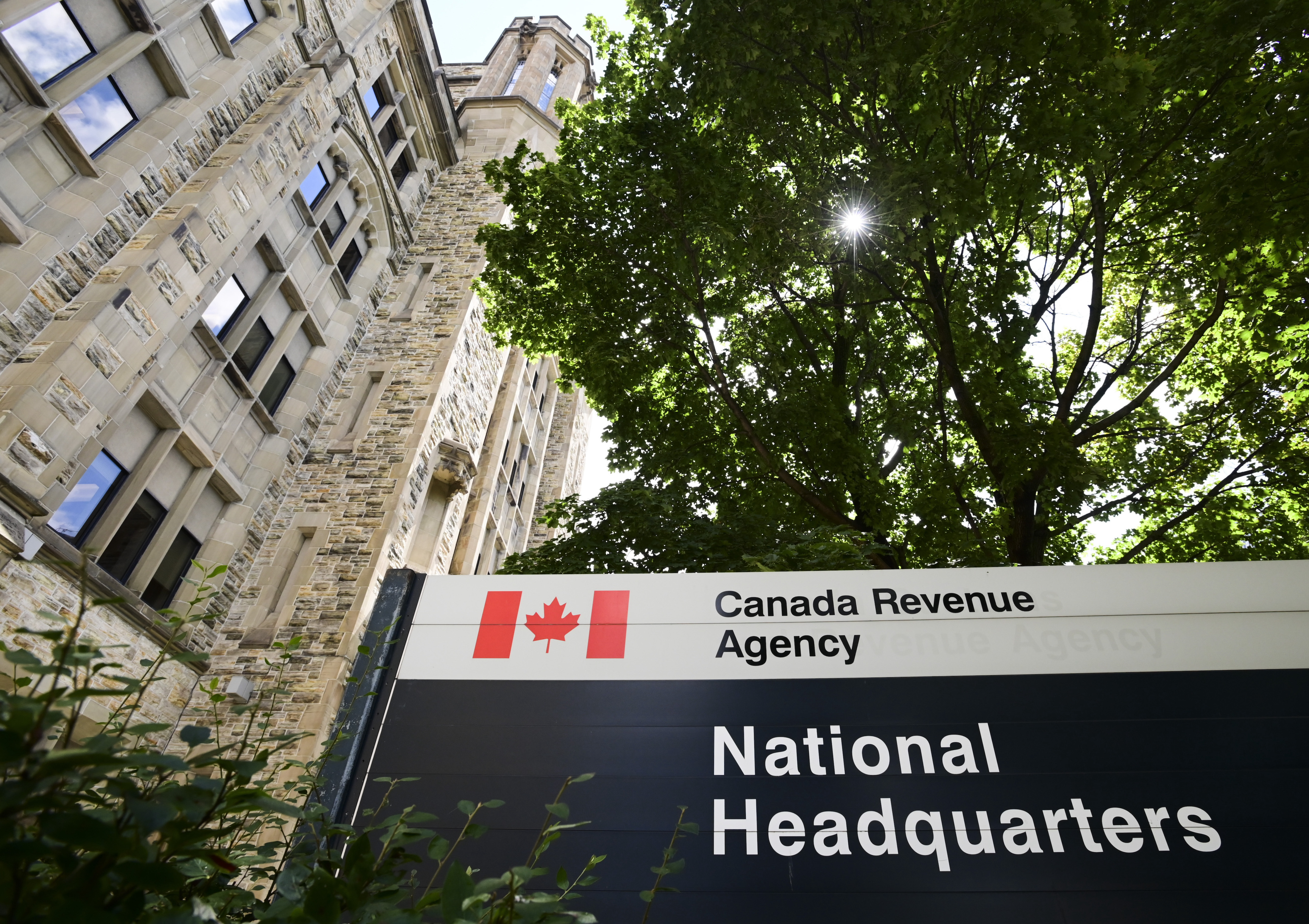 CRA 'Confident' It Can Find Compromise With Workers as Threat of Tax Season Strike Looms - Vimarsana News