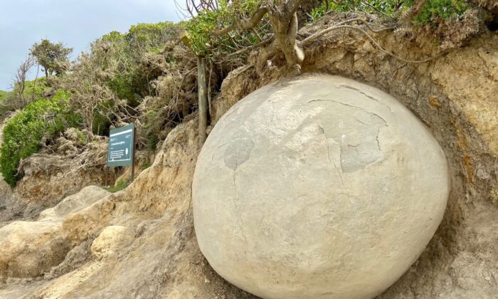 New Zealand’s Mysterious Spherical Boulders Continue to Captivate