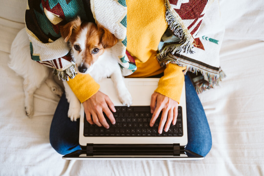 A blanket and dog help. (eva_blanco/shutterstock)