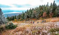 Conservative MPs Say New Parks Bill Violates Charter Rights Against Unreasonable Search and Seizure