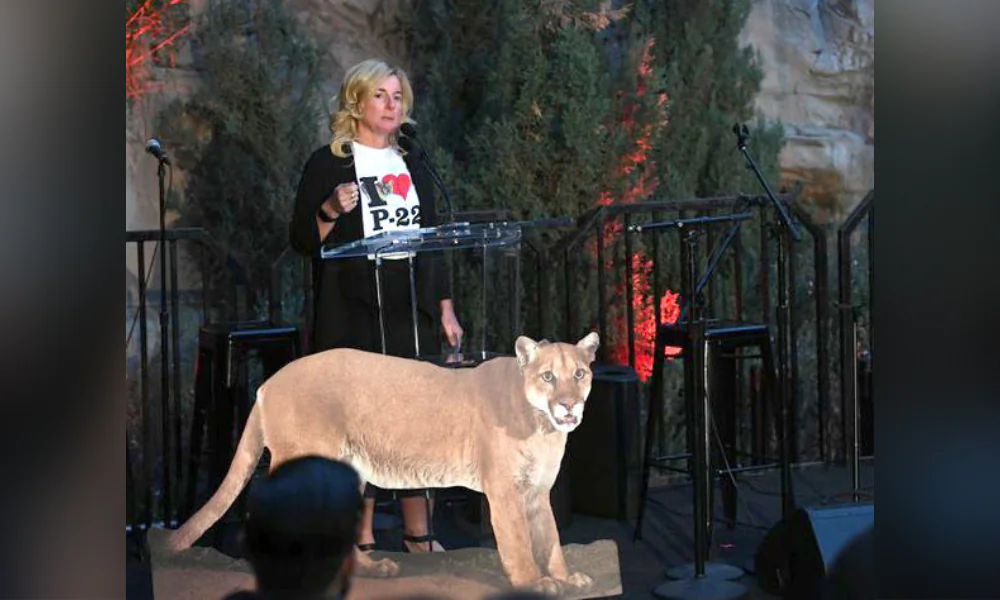 California Regional Director of LA Cougars Beth Prett speaks onstage with a photo of local cougar P-22 at "Meet Me In Australia" To Benefit Australia Wildlife Relief Efforts, hosted by The Greater Los Angeles Zoo Association at Los Angeles Zoo on March 08, 2020. (Kevin Winter/Getty Images)