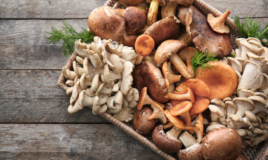 蘑菇具有许多很好的健康特性，可以帮助缓解 Long COVID 的症状。  （非洲工作室/Shutterstock）