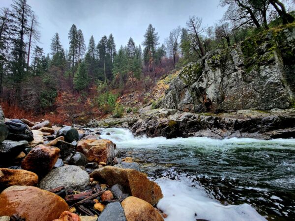Epoch Times Photo