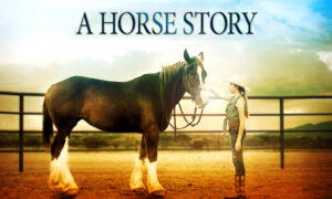 A Horse Story