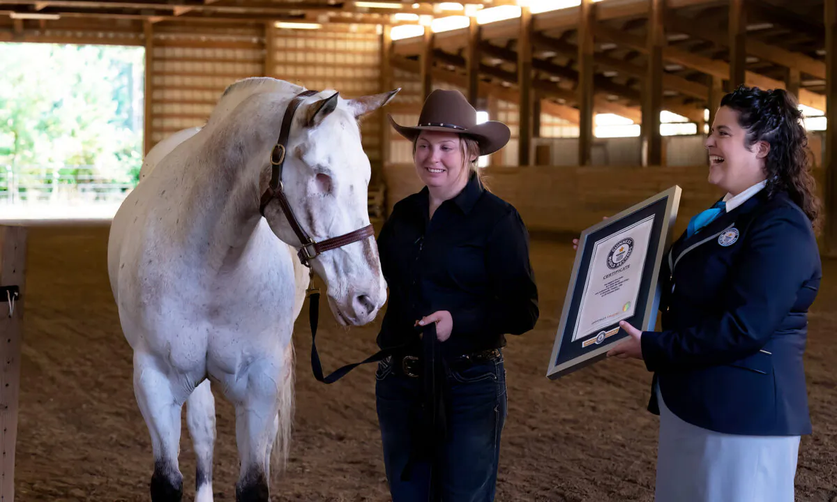 (Courtesy of Brittany Hirst Photography/GUINNESS WORLD RECORDS)