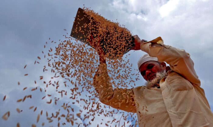 2022 年 10 月 17 日，农民易卜拉欣·谢赫 (Ibrahim Shaikh) 在印度西部马哈拉施特拉邦 Kadadhe 村的田里扬起稻谷。（Rajendra Jadhav/路透社）