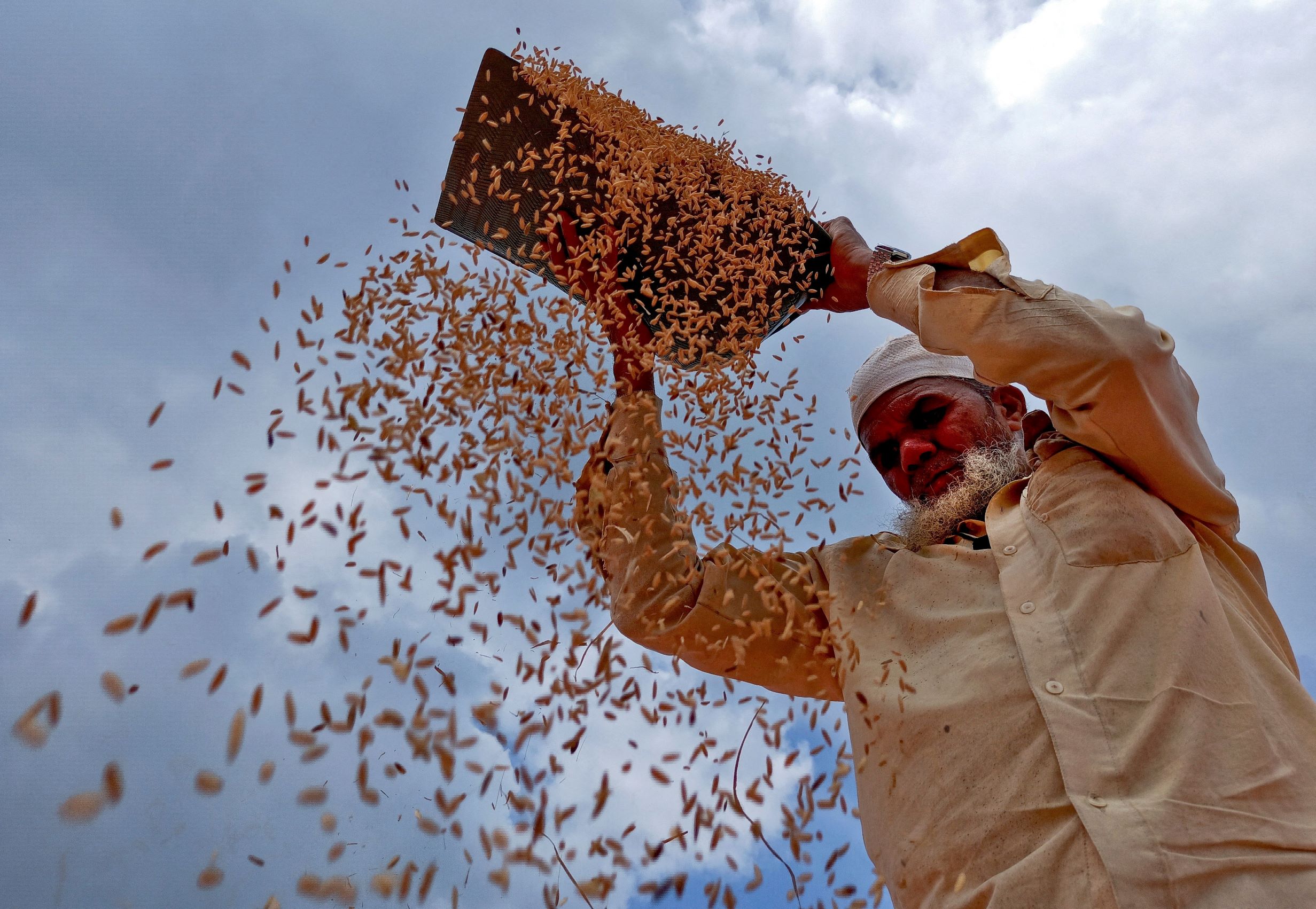 Food Inflation: Tight Grain, Oilseed Supplies to Keep Prices Elevated - Vimarsana News