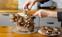 More Gift Ideas for Gardeners